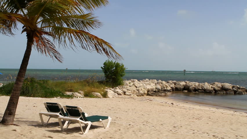 Vacant recliners sit on Key West Beach, Florida under a palm tree blowing in the breeze with the tropical Atlantic ocean in the background.