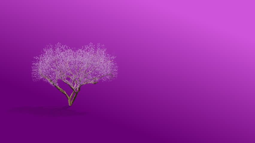 pink blossom tree composite