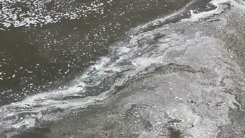 Swift currents create swirling pond scum patterns on water's surface. 1080p 