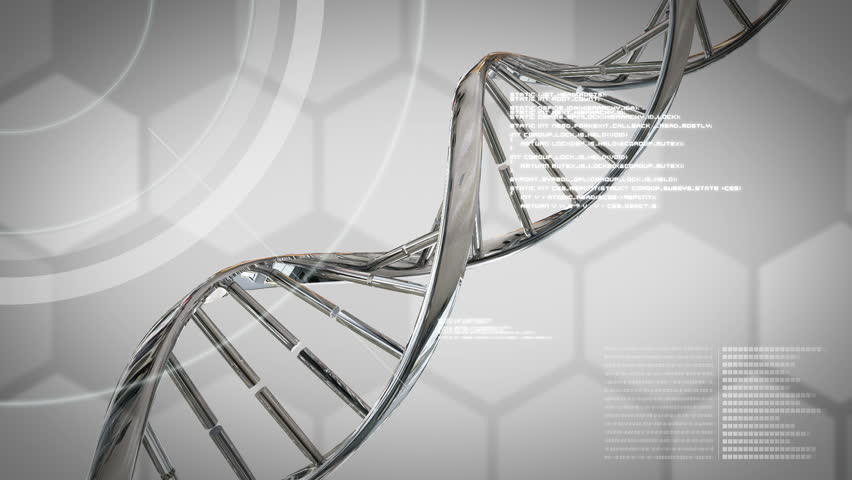 read erfolgsausweis deutscher aktienkonzerne