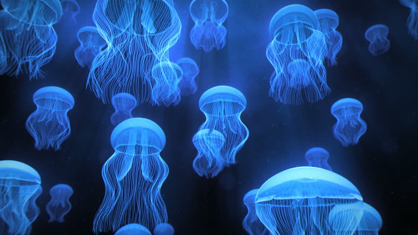 Jellyfish Ascending 