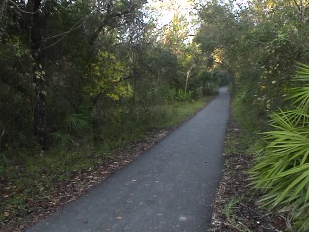 A couple walking hand in hand along a nature trail.