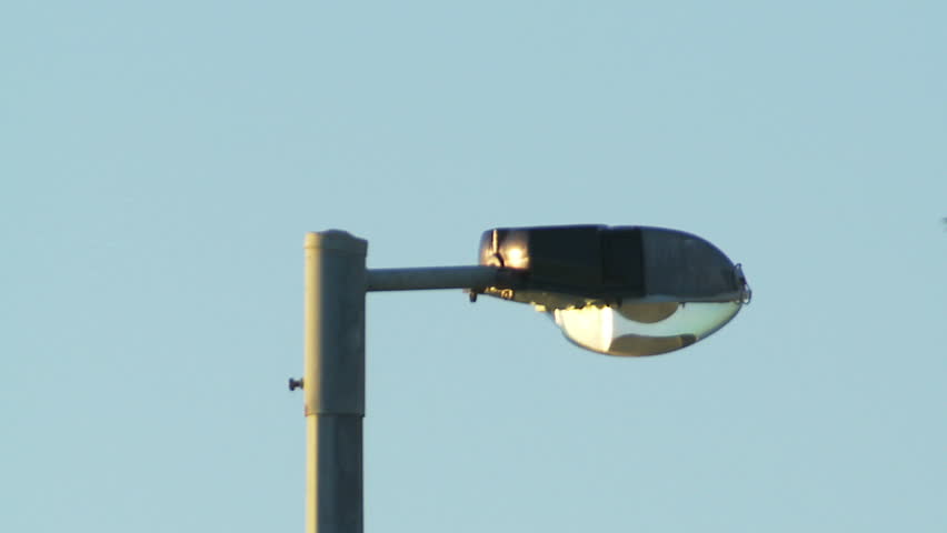 Eagle Landing on Lamp Post - Brahminy Kite, Bald Sea Hawk. Slow Motion