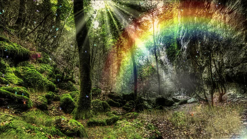 Resultado de imagen para enchanted forest