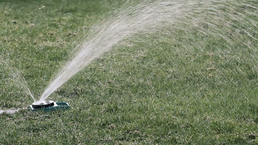 A sprinkler watering green lawn