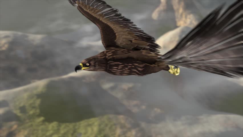 Flying eagle with Mountains and sky