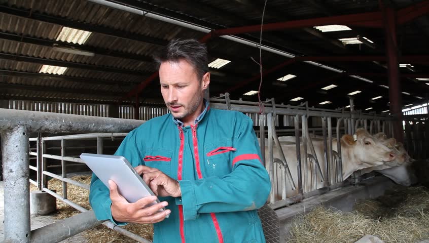 Farmer in barn using electronic tablet
