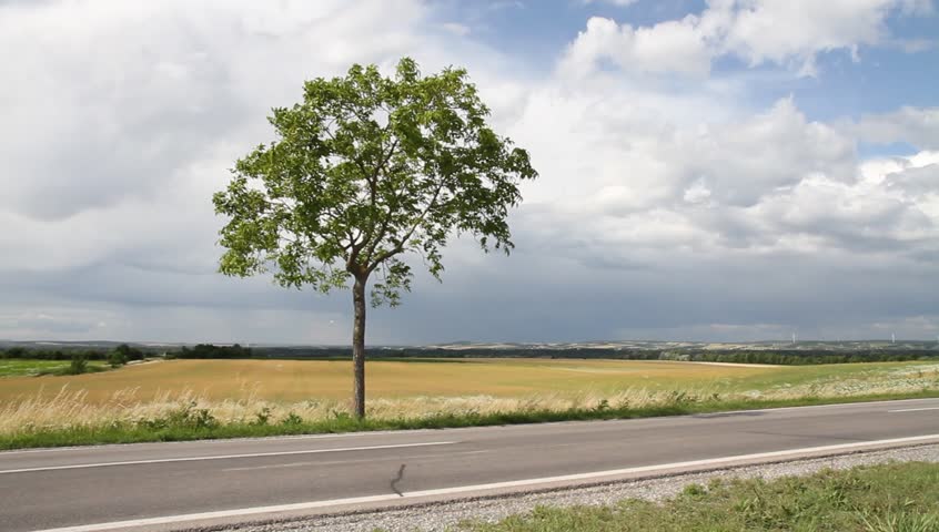 Stormy landscape 