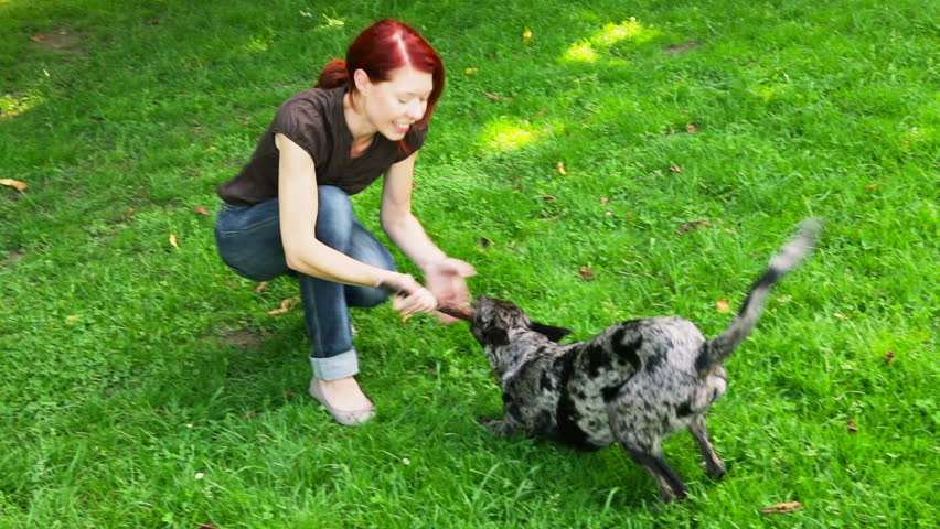Woman and dog playfully fighting over a stick in a park