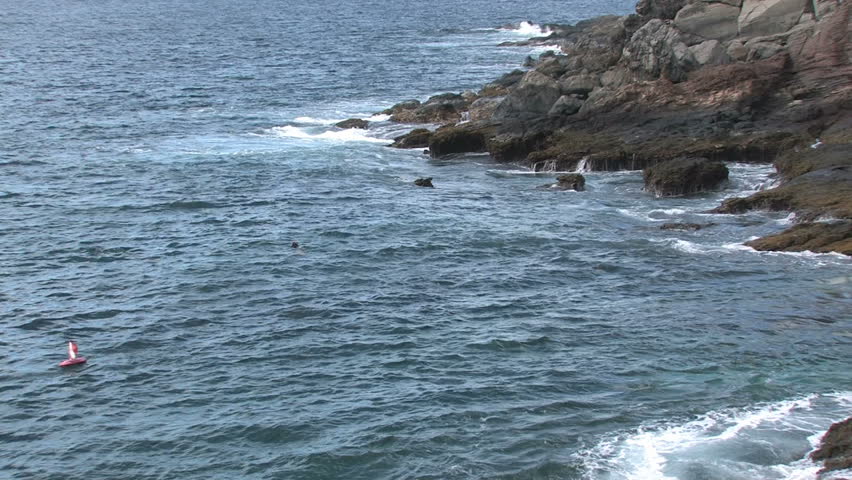 Rocky shoreline on island of Maui in Hawaii. A man  swimming and spear fishing in the rough water. Beautiful water with cliff and trees overlooking water. Warning float.