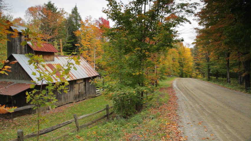Weathered building on the side of a rural, gravel road lined with autumn-colored maple trees with a sign that reads "MAPLE SYRUP". Commonly known as a sugar shack, sugar cabin, or sugar house.