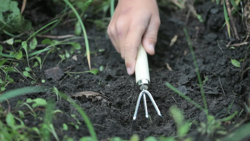 Human hands making a pit and planting a sprout