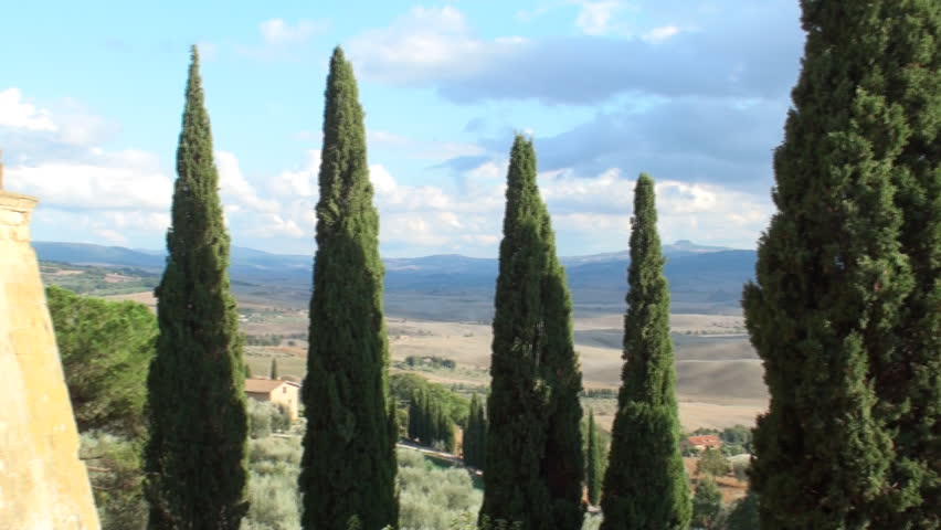 View on the valley of the Val d'Orcia with rain coming in and a lane of cypresses in the foreground 