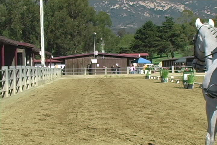 Jockey competing at the Equestrian Winter Dressage.