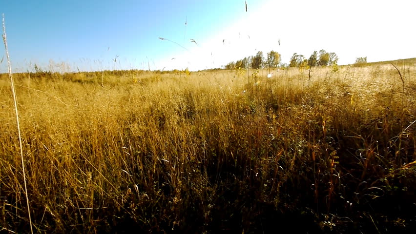 Flying over a grassy field at autumn.