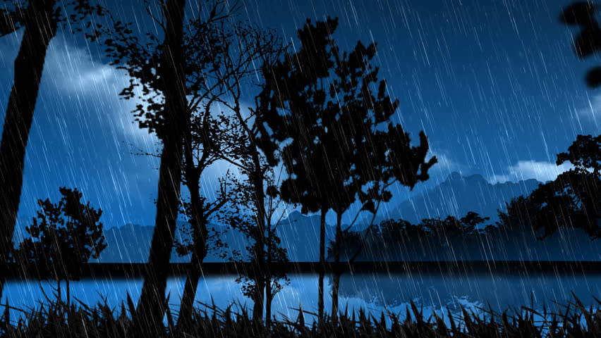 Night forest