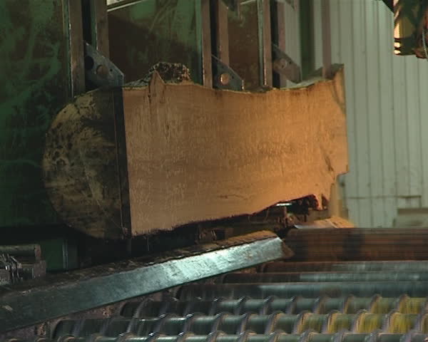 Cutting boards from logs. Special machines for processing wood. 