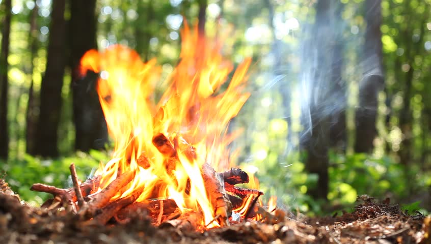 Bonfire in the forest close