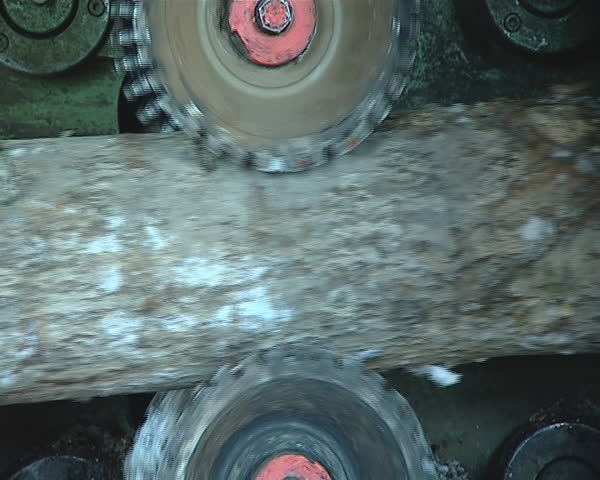 Special equipment for processing wood. Logs moving through the rotating machine. 