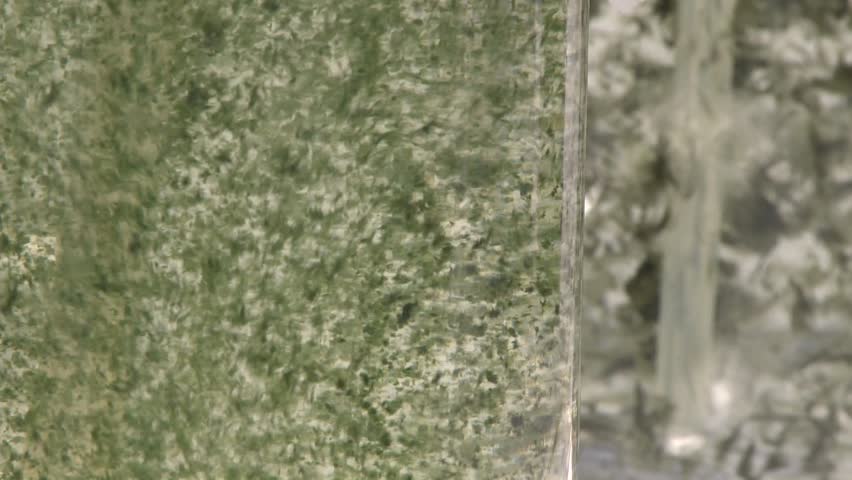 Algae being aired under laboratory lighting conditions. Cultures of cyanobacteria being fed carbon dioxide. 