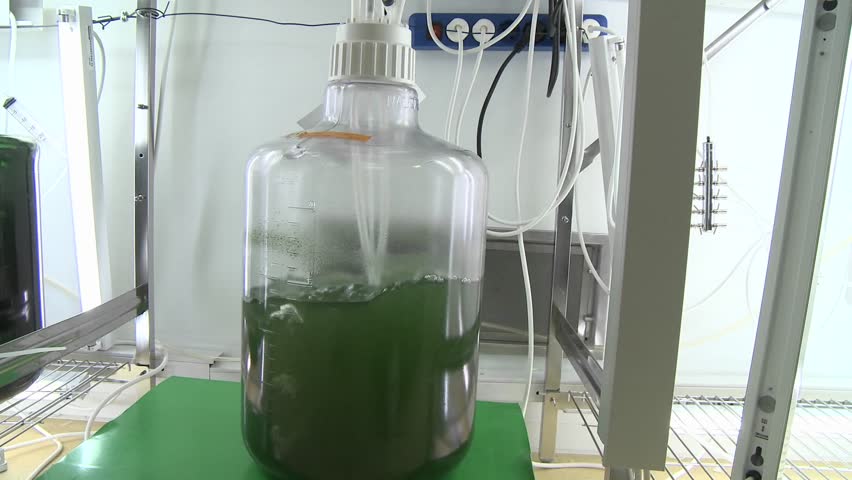 Dolly movement from a photo-bioreactor we see different sorts of cultures of algae being aired with carbon dioxide.
