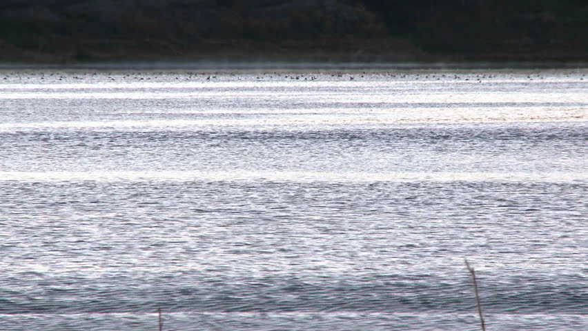 Two people rowing a double scull at sunrise on Lake Casitas in Oak View, California.
