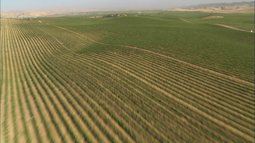 Helicopter low level aerial of Monterey County vineyards, California.