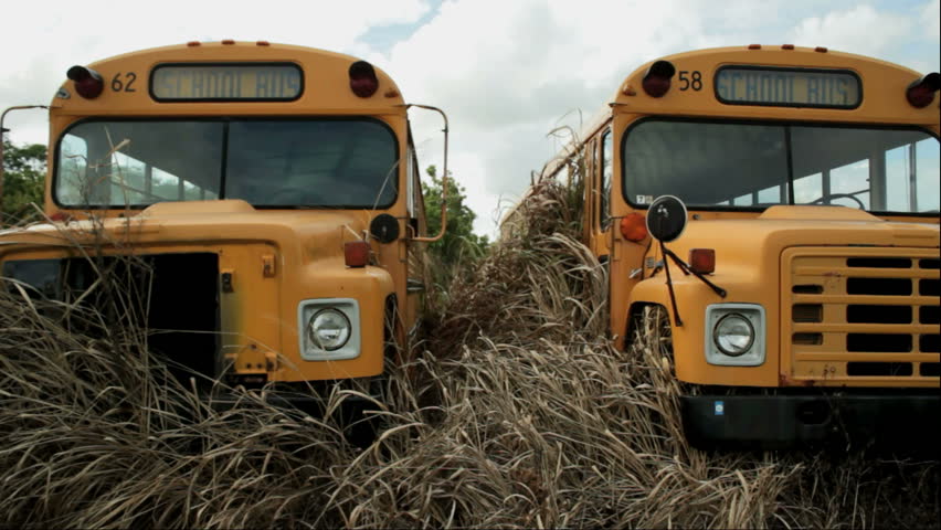 two broken down school busses sit in tall weeds