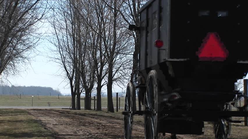 An Amish horse and buggy head toward the main road with their passengers
