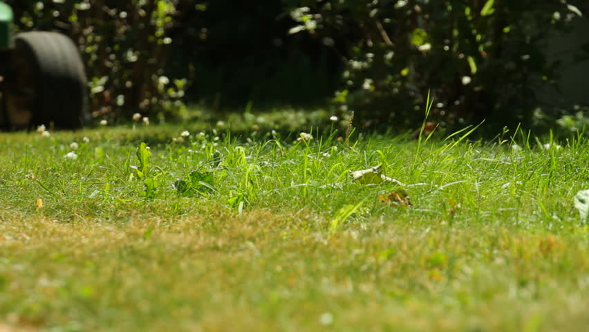 CU of mowing lawn
