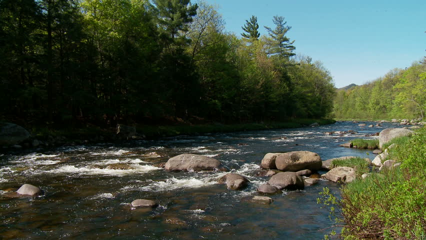 Rocky river in springtime forest