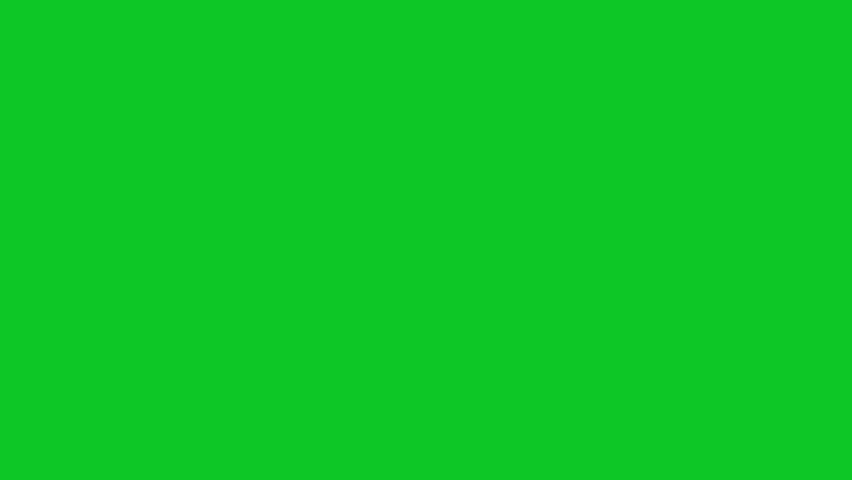 fish swimming in front of green screen