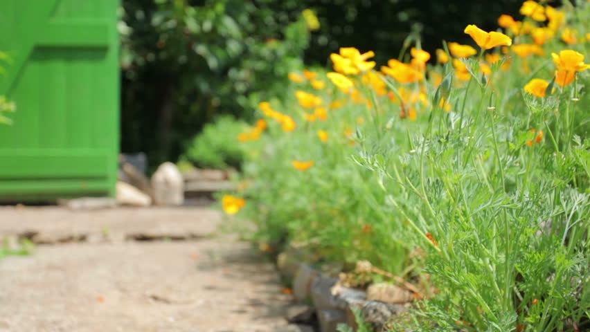crane shot of beautiful garden with flowers