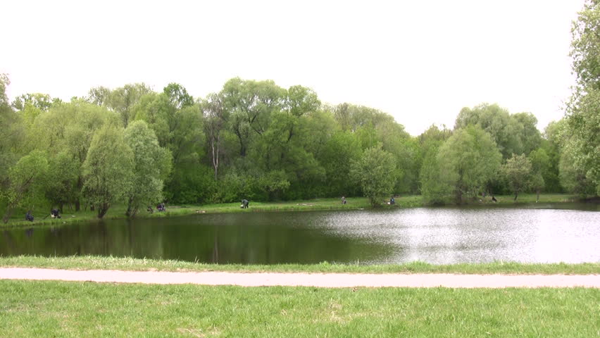 girl on scooter in park