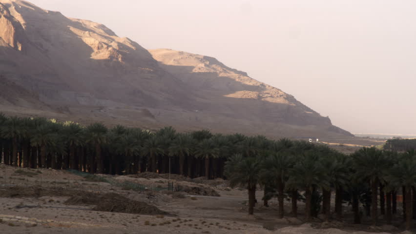 Long pan left to right of the barren mountains of the Ein Gedi Israel, to a grove of palm trees on the coast of the Dead Sea.  02/26/2011
