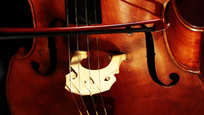 Musician and Double Bass