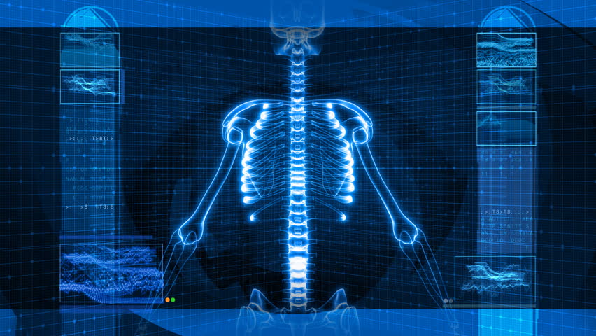 X-Ray of Human Spine HD