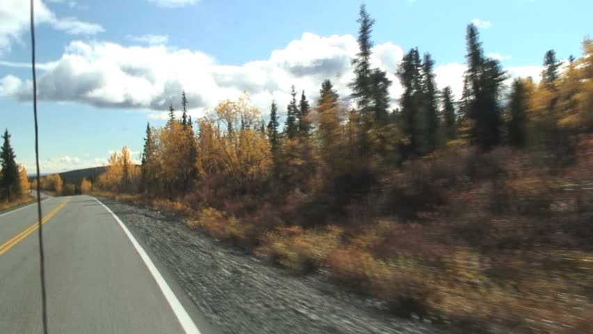 Diving By Autumn Trees Off Shoulder