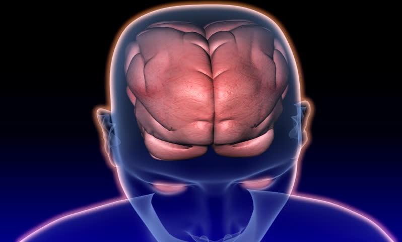 footage of a human brain in a human body in blue