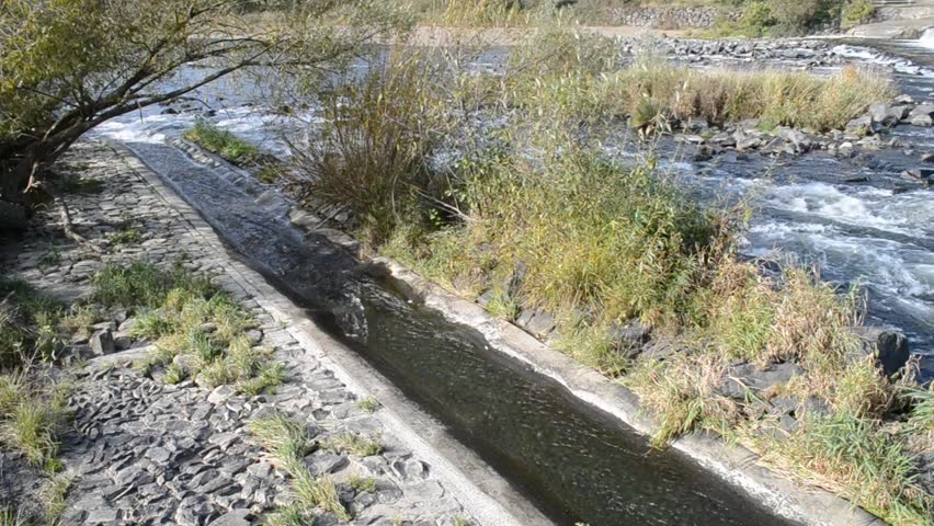 fish ladder
