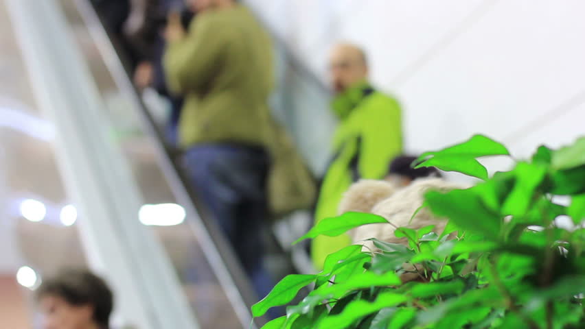 Peoples on escalators in a mall