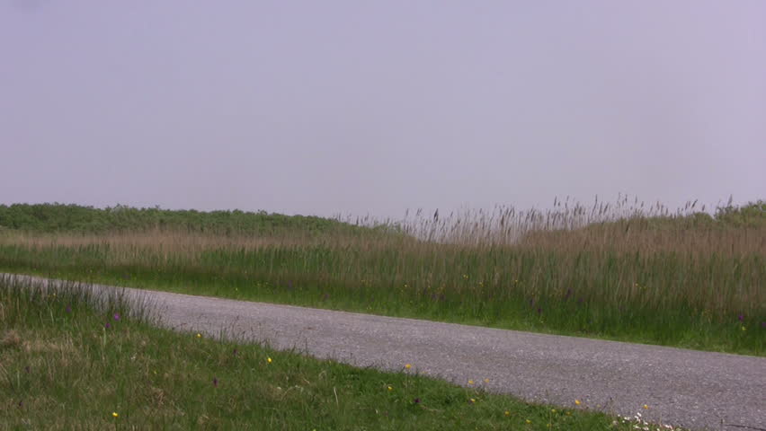 Nature preserve Zwanenmeer (1) 