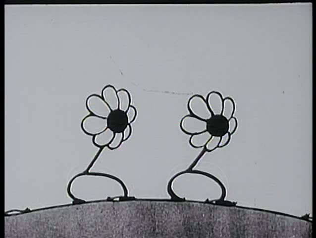Wide shot clapping flowers on mountain