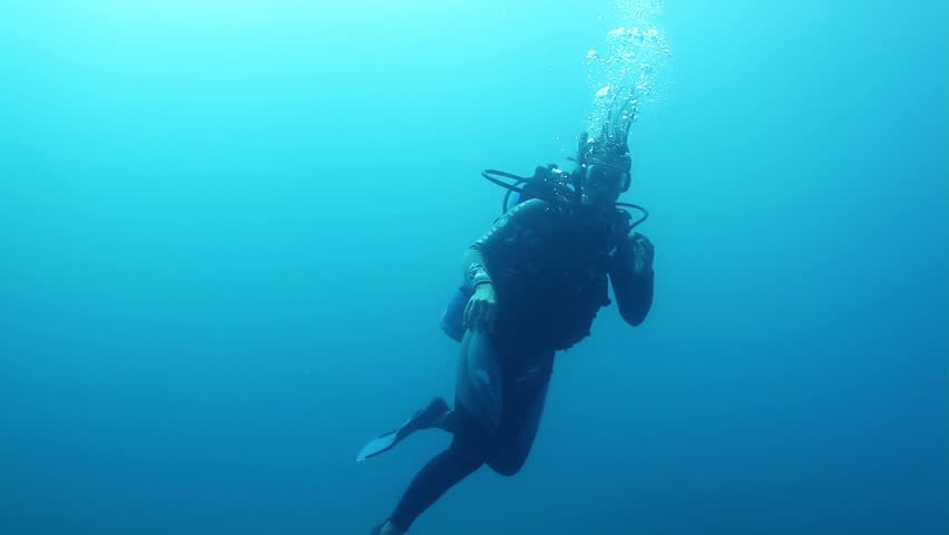 underwater shots whilst scuba diving in cabo pulmo marine park, baja california sur, mexico