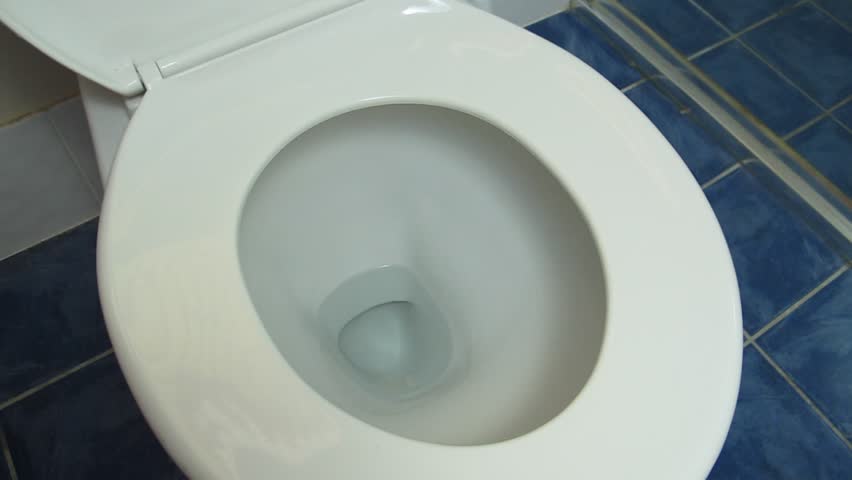 Flushing Toilet