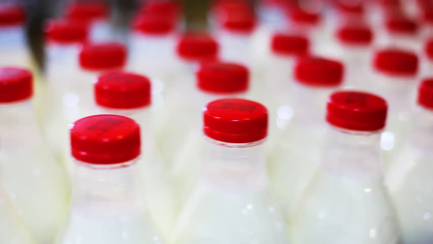 many bottles milk with red caps, which marked date of manufacture and expiry, move conveyor, close-up
