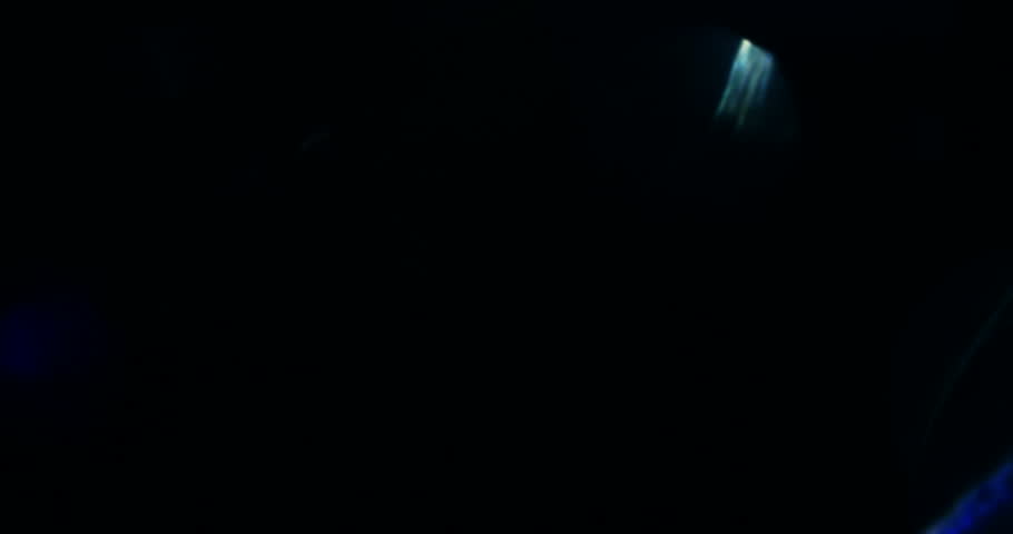 Header of 303