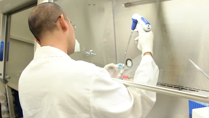 A scientist working in a biosafety cabinet pipettes media into tissue culture dishes