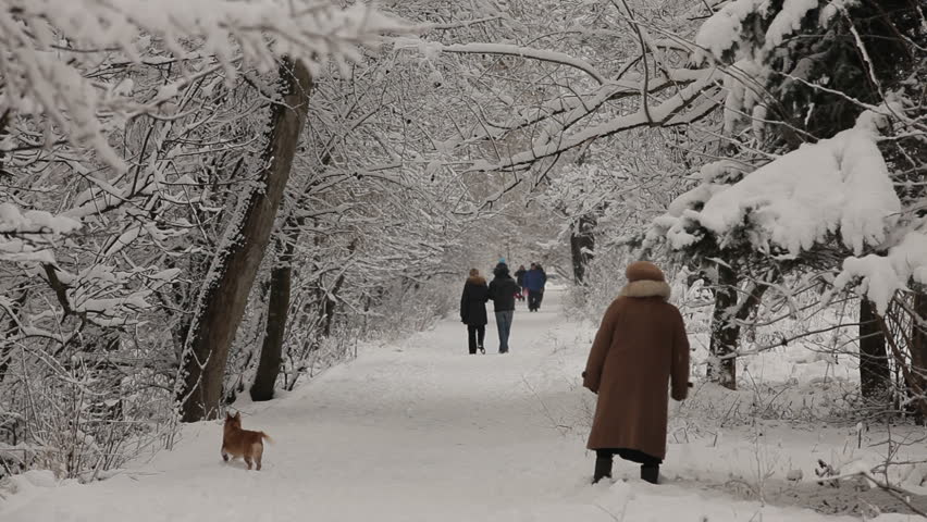 People in the snow-covered park. HD. People are walking by a footpath in the snow-covered park.