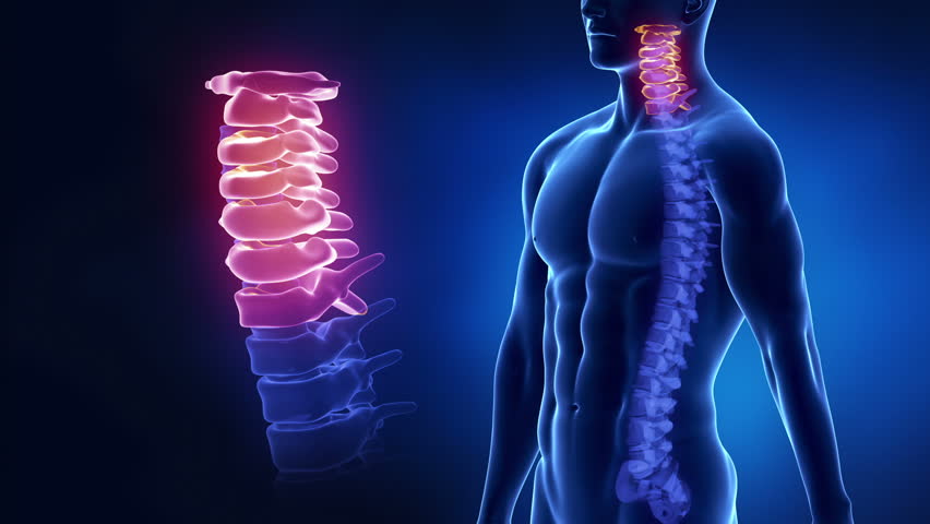 Focused on spine CERVICAL region in loop